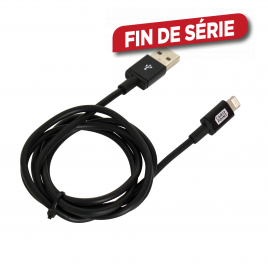 Cordon HDMI mâle/femelle - 2m - FPE - Mr.Bricolage