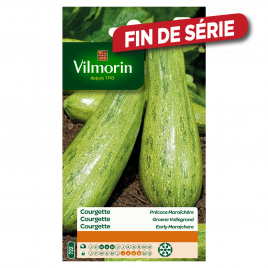 Vilmorin Graines de Légumes Courgette Verte Petite d'Alger, 5 g