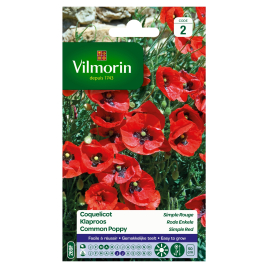 Semences de coquelicot simple rouge VILMORIN