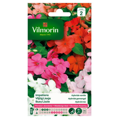 Semences d'impatiens Hybride variée VILMORIN