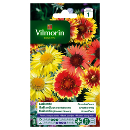 Semences de gaillarde grandes fleurs VILMORIN