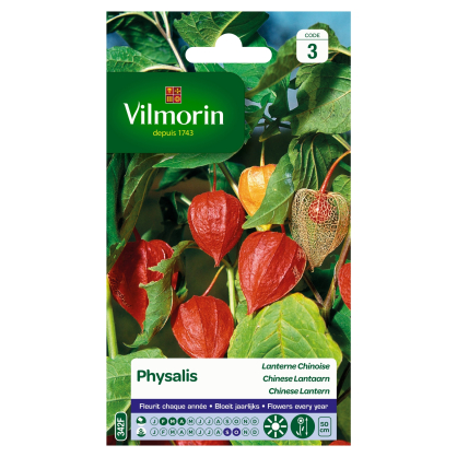 Semences de physalis Lanterne Chinoise VILMORIN