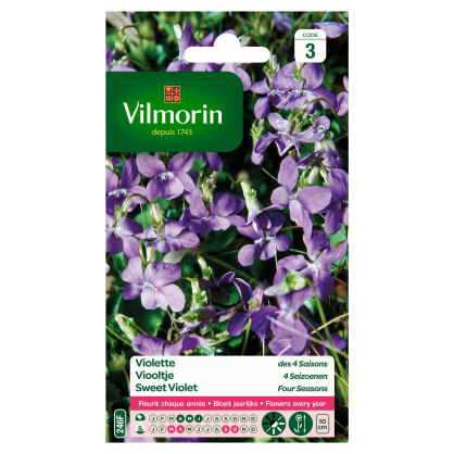 Semences de violette des 4 saisons VILMORIN