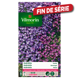 Semences d'aubriétia variée VILMORIN