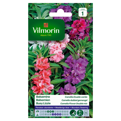 Semences de balsamine Camélia double variée VILMORIN