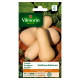 Semences de courge Waltham Butternut VILMORIN