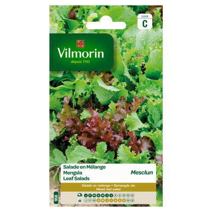 Semences de mesclun 4 g VILMORIN