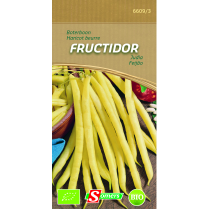 Semences de haricot Fructidor Bio SOMERS