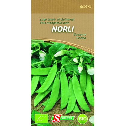 Semences de pois nain Norli Bio SOMERS