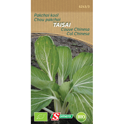 Semences de chou pakchoi Taisai Bio SOMERS