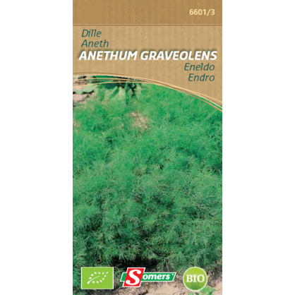 Semences d'aneth Anethum Graveolens Bio SOMERS