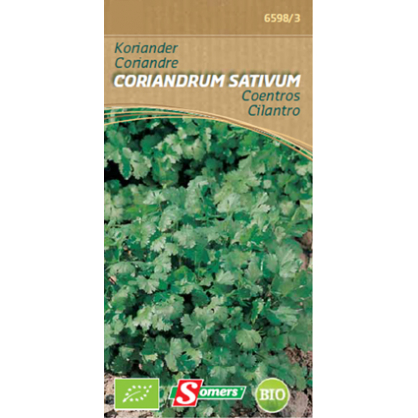 Semences de coriandre Coriandrum Sativum Bio SOMERS