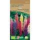 Semences de lupin vivace Mix Bio SOMERS