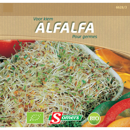 Semences de germes Alfalfa Bio SOMERS