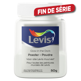 Paillettes additifs de peinture murale fluorescente 50 g LEVIS