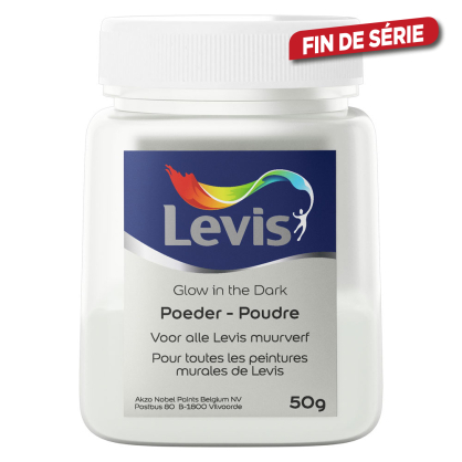 Paillettes additifs de peinture murale fluorescente 50 g LEVIS