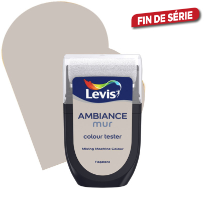 Testeur peinture murale Ambiance Flagstone 30 ml LEVIS