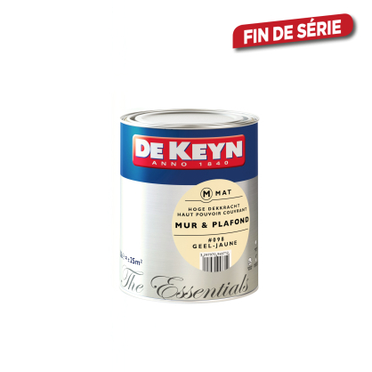 Peinture pour mur et plafond Jaune 098 mat 2,5 L DE KEYN