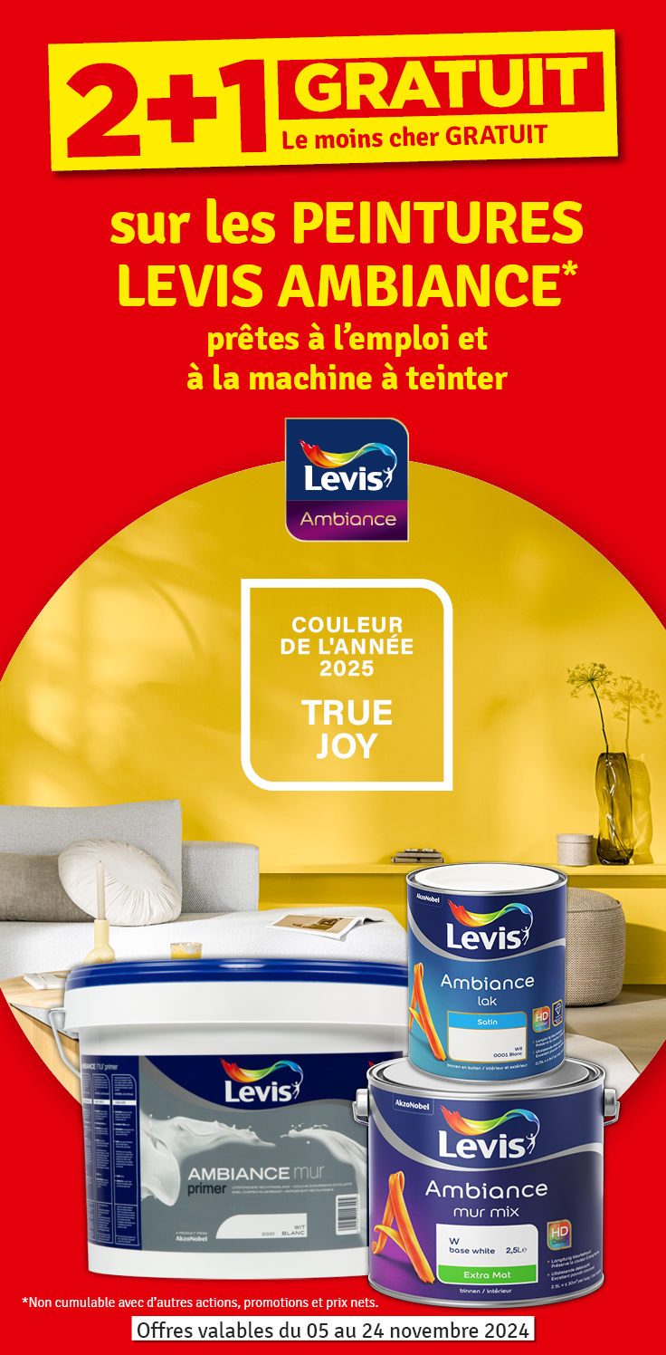 2 + 1 gratuit sur les peintures Ambiance LEVIS