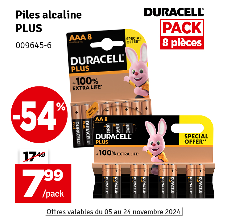 Piles Alcaline Plus DURACELL