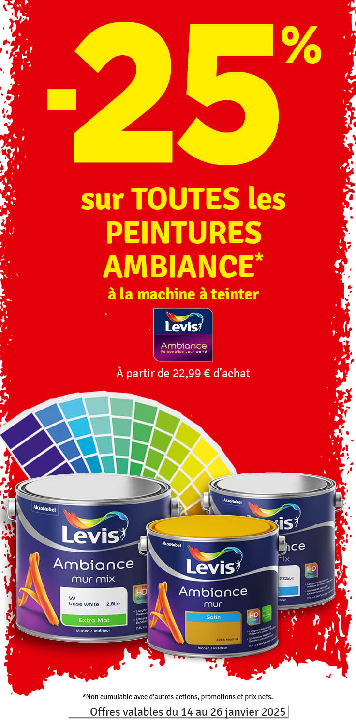 25 % sur toutes les peintures Ambiance à la machine à teinter