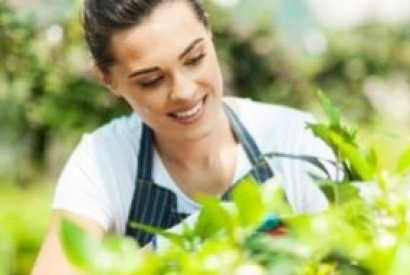 Outils malins pour jardiner au féminin