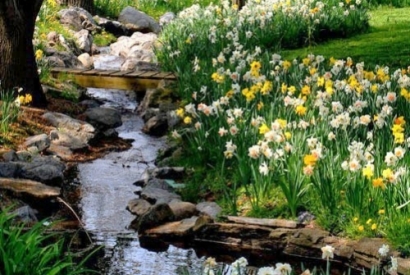 Aménager un ruisseau dans son jardin