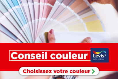 Conseils couleurs Levis