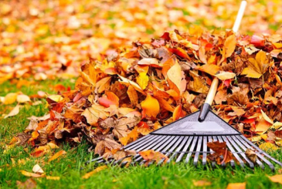 Que faire au jardin en automne ? 