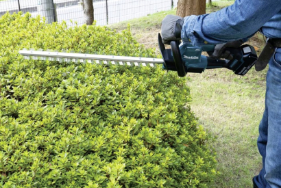 Choisir et entretenir un taille-haie